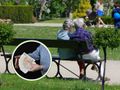 seniorzy, czeskie korony