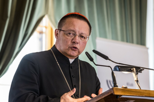 Kard. Grzegorz Ryś powołuje komisję
