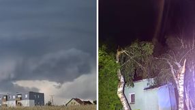 Krajobraz po burzy w Wielkopolsce
