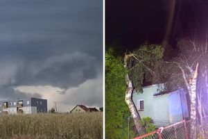 Krajobraz po burzy w Wielkopolsce