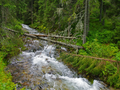 strumien