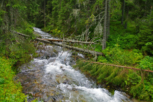 strumien