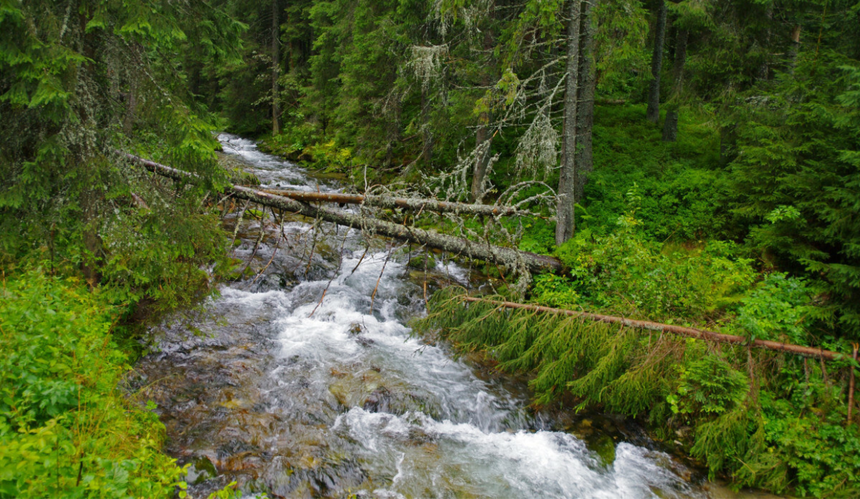 strumien