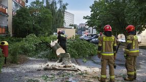 Jak uzyskać odszkodowanie po burzy?