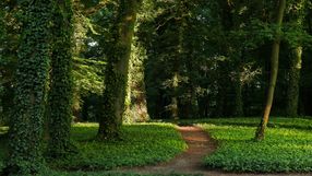 Park Sołacki w Poznaniu