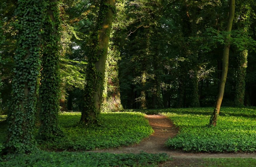 Park Sołacki w Poznaniu