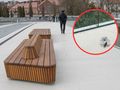 Ptaki uderzają w balustrady Mostów Berdychowskich w Poznaniu
