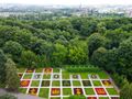 Dywan kwiatowy na poznańskiej Cytadeli