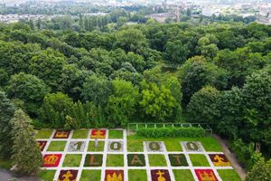 Dywan kwiatowy na poznańskiej Cytadeli