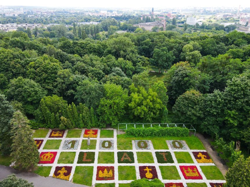 Dywan kwiatowy na poznańskiej Cytadeli