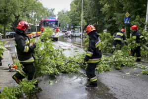 straż pożarna