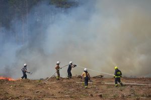 Pożar lasu 