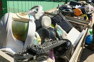 Za elektrośmieci dostaniesz sadzonkę