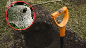 Prace archeologiczne - zdjęcie ilustracyjne, znalezisko w Poznaniu