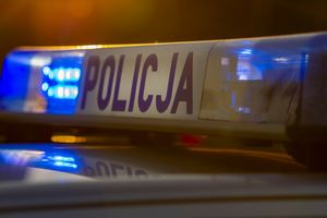 policja