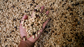 Który kraj to eksportuje? Quiz