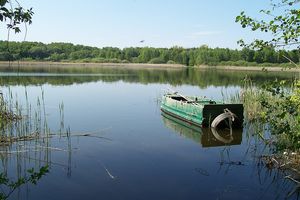 Jezioro Swarzędzkie