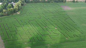 Atrakcja pod Wrocławiem