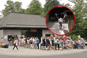 Zoo Krakow