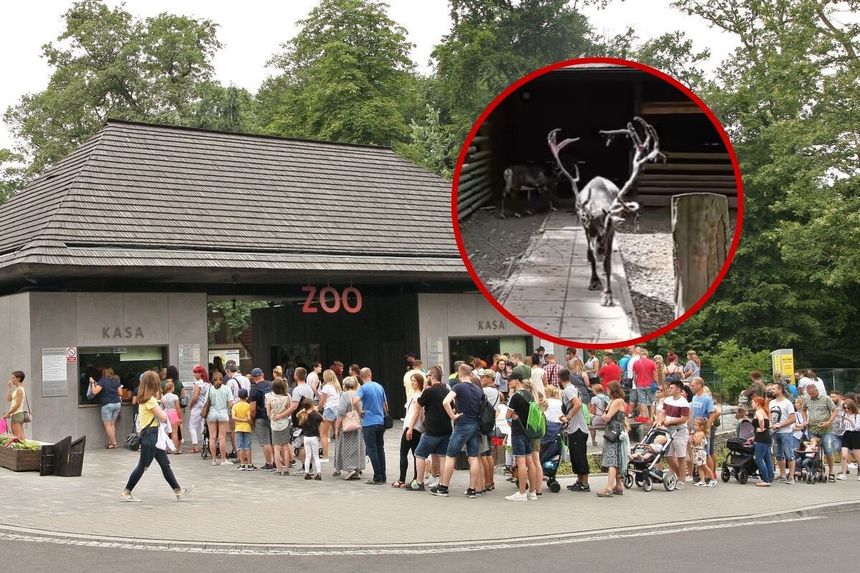 Zoo Krakow