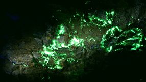 Dawna kopalnia uranu w Kowarach