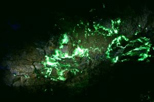 Dawna kopalnia uranu w Kowarach