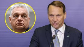 Minister spraw zagranicznych Radosław Sikorski. Premier Węgier Viktor Orban