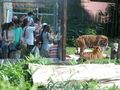 ZOO Wrocław