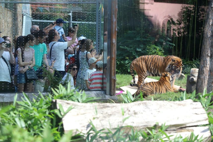 ZOO Wrocław