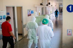 Gorączka chikungunya to choroba przenoszona przez komary Aedes