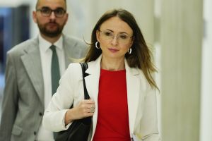 Agnieszka Dziemianowicz-Bąk