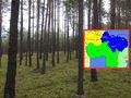 Pożary lasów w Wielkopolsce
