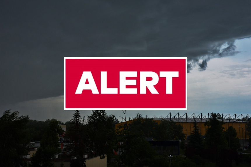 Alert
