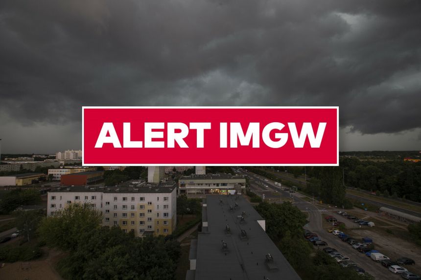 Alert