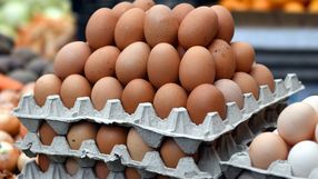 Hodowcy drobiu w Polsce domagają się wzmocnienia kontroli importowanych ja