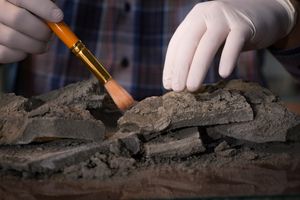 archeologia 