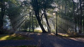 Park w Poznaniu