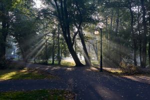 Park w Poznaniu