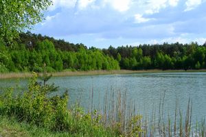 Jezioro Kamińskie pod Poznaniem