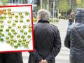 Prognoza pogody IMGW