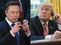 Elon Musk i Donald Trump