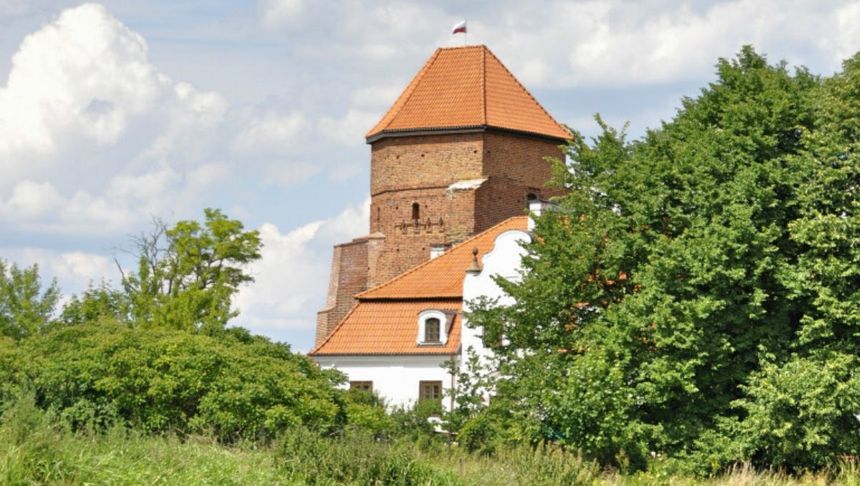 Zamek w Liwie