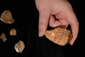 Nowe ustalenia w sprawie homininów