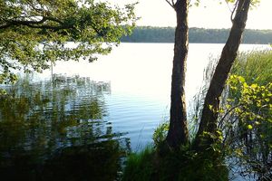 Jezioro Strzeszyńskie