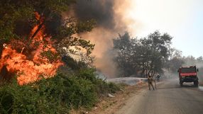 Pożary w Grecji. Trudna sytuacja na południu Europy