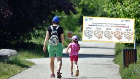 prognoza pogody na koniec lata