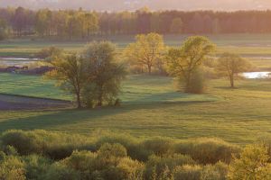 Biebrzański Park Narodowy