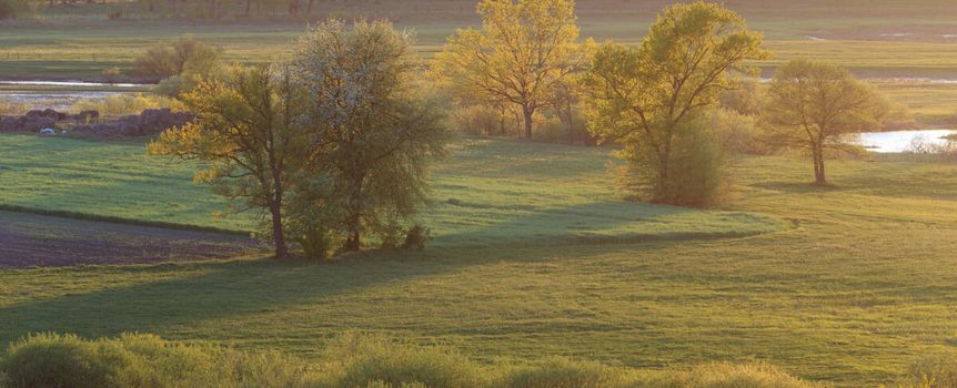 Biebrzański Park Narodowy