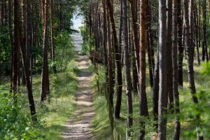 Za spacery w strefie nadgranicznej z Rosją grozi wysoki mandat