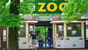 Zoo w Poznaniu